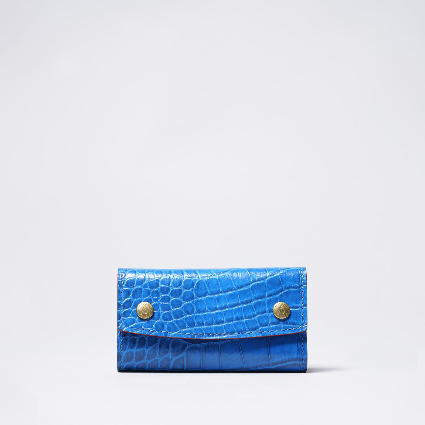 <kiichi> Alike Series Key Case / Blue