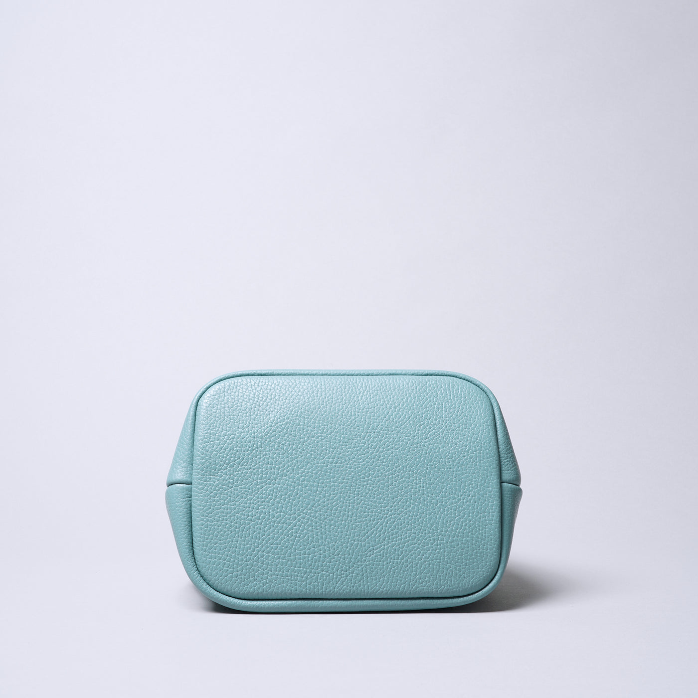 <itten-itten> Leather Mini Tote (w/ D) / Pale Green
