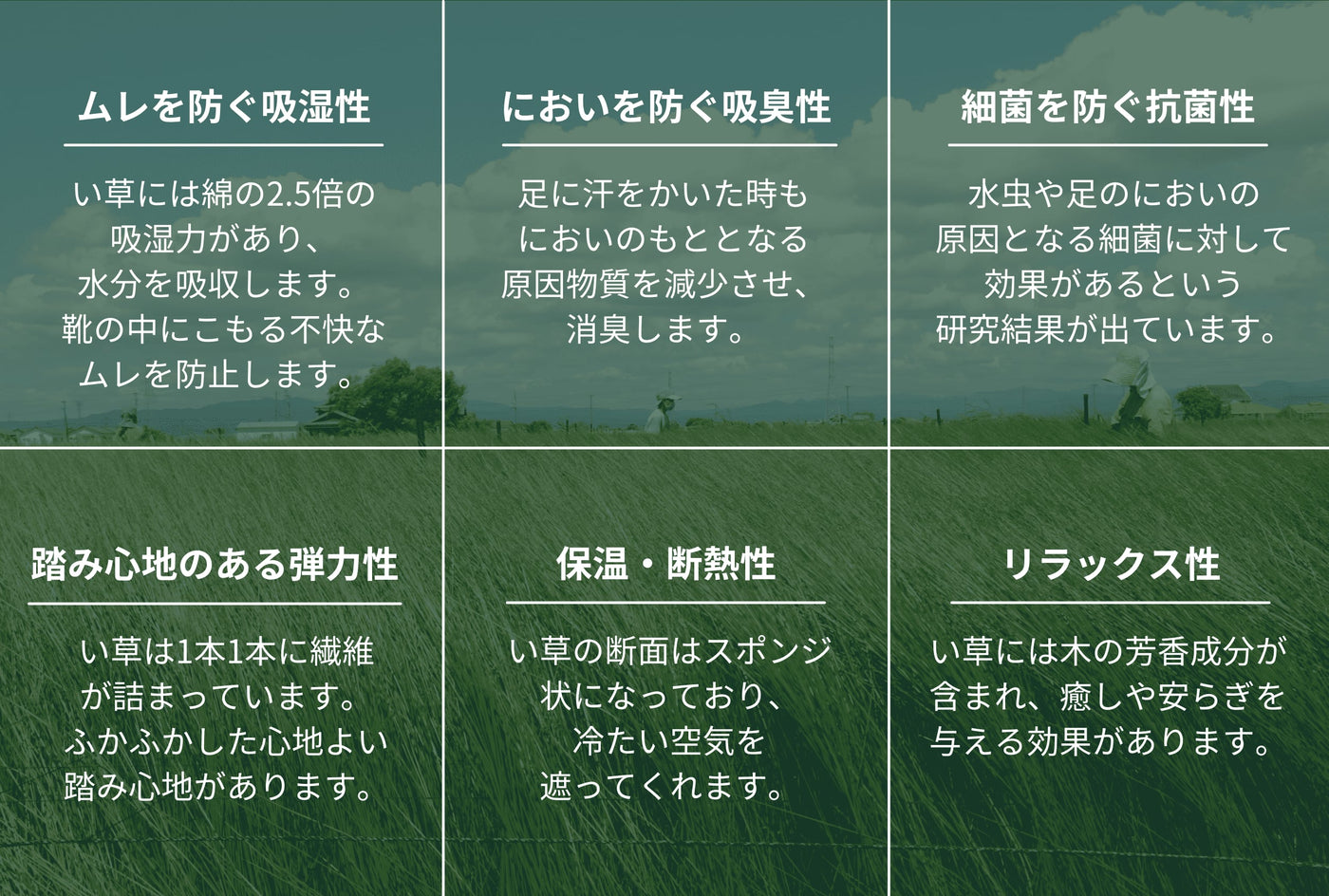 ＜リベラート＞畳サンダルスリッパ/ブラック
